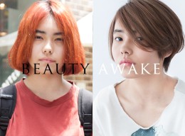 タイトルがありません